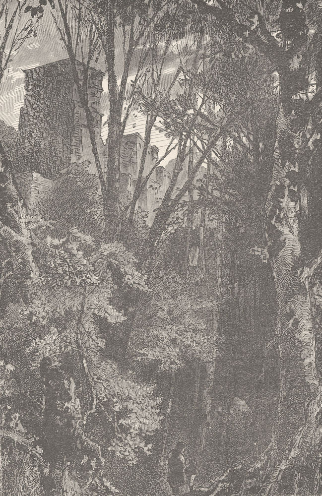 GERMANY. The old castle of Baden 1903 antique vintage print picture